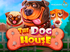 Reviews on red dog casino68